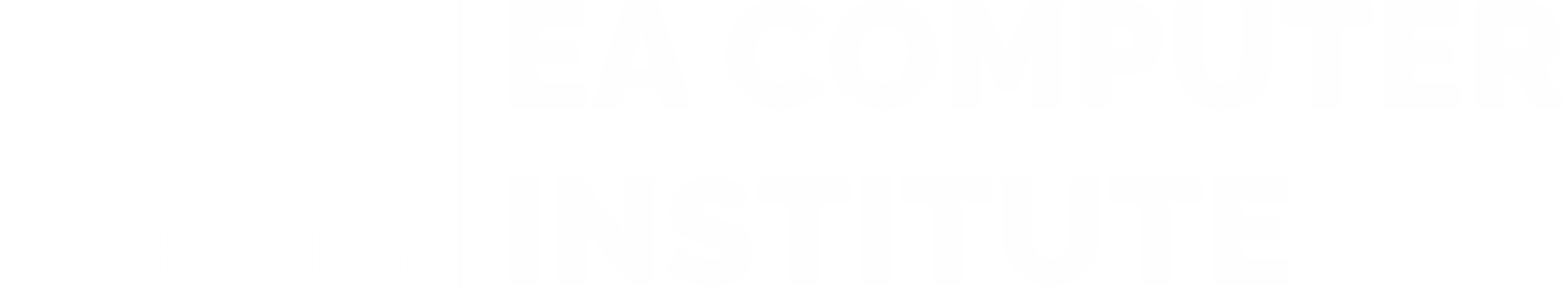 EA Computer Institute
